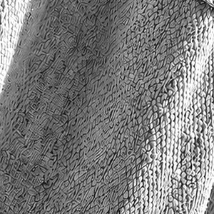 Grey woven canvas